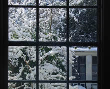 Garden at CBE Office